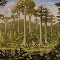 Жизнь на суше: расцвет, кризис, возрождение